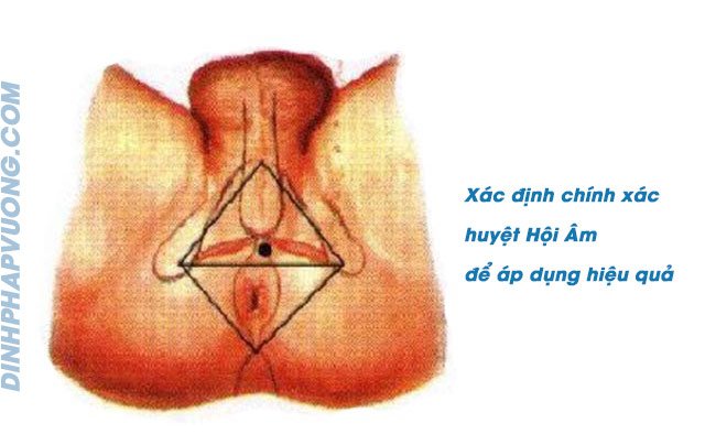 Massage day bấm huyệt Hội Âm chống xuất tinh sớm